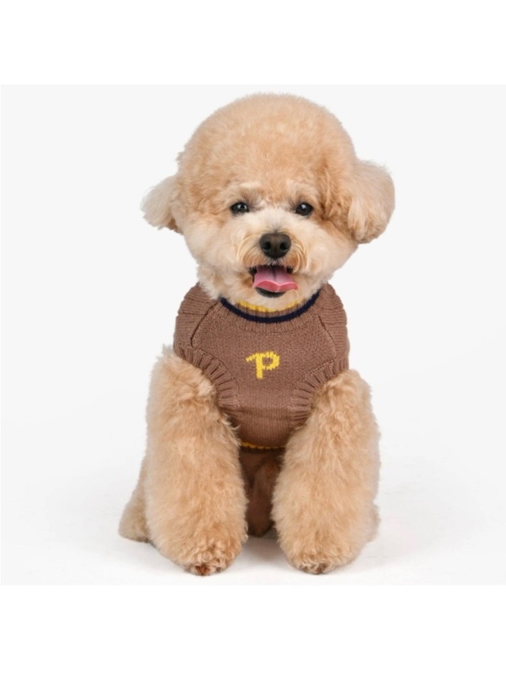 🆕-Puppia Joise- Brown Cable-Knit Dog Sweater w/Striped Trim- Small Medium Dogs - Picture 2 of 11